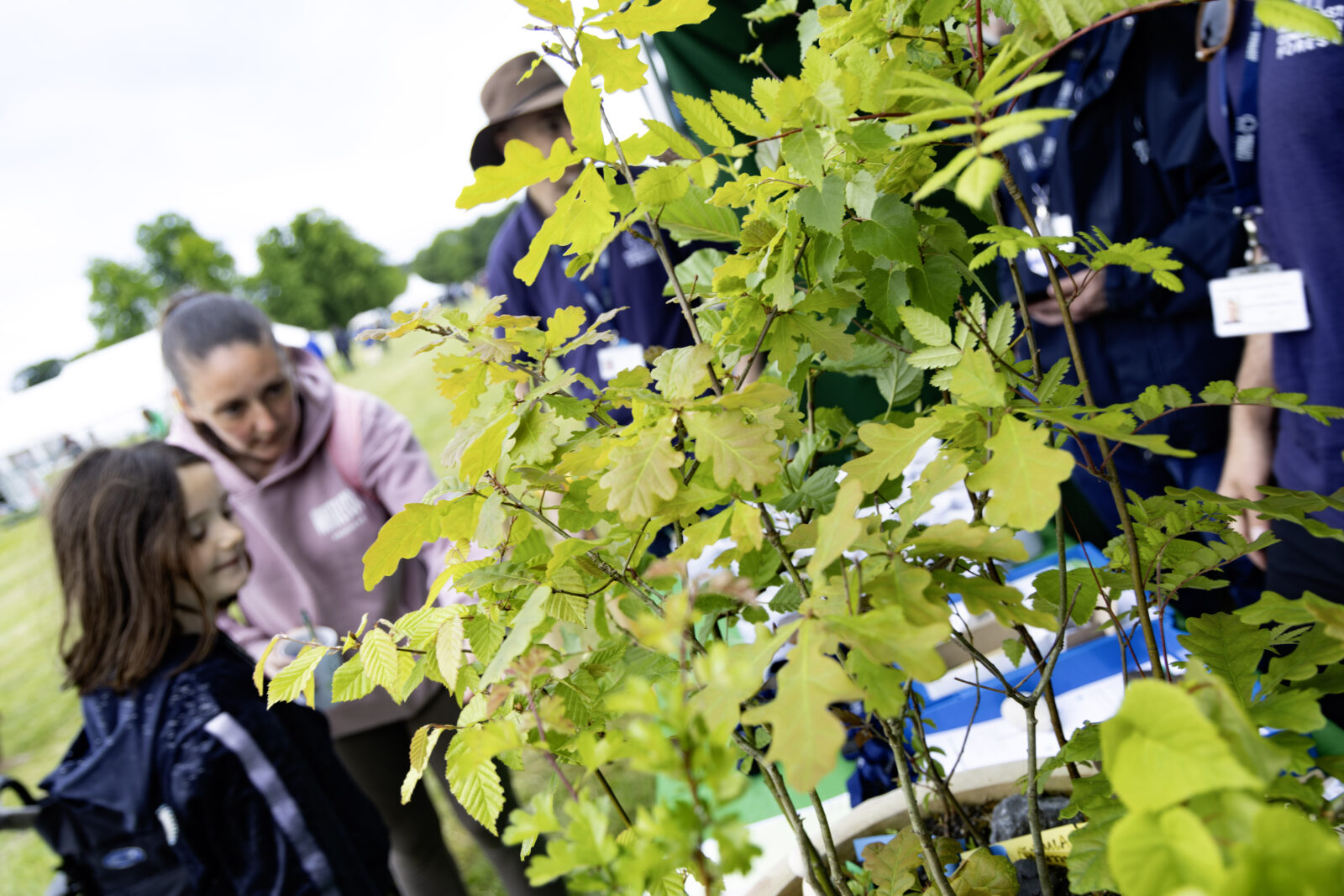 Northumberland Wildlife Trust Community Nature Fest in Jesmond Dene