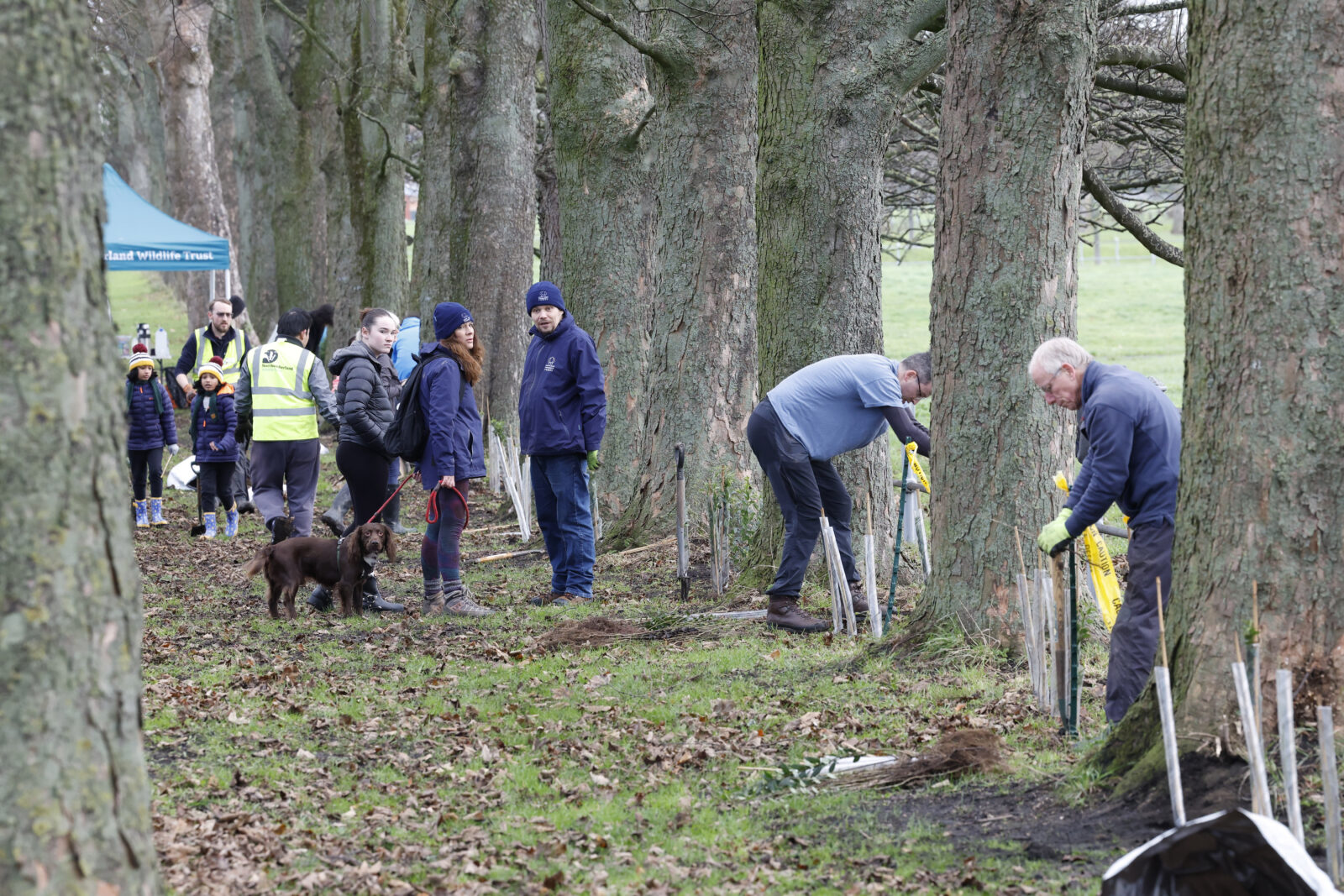 Volunteer maintenance day – Northumberland Wildlife Trust on NECF sites