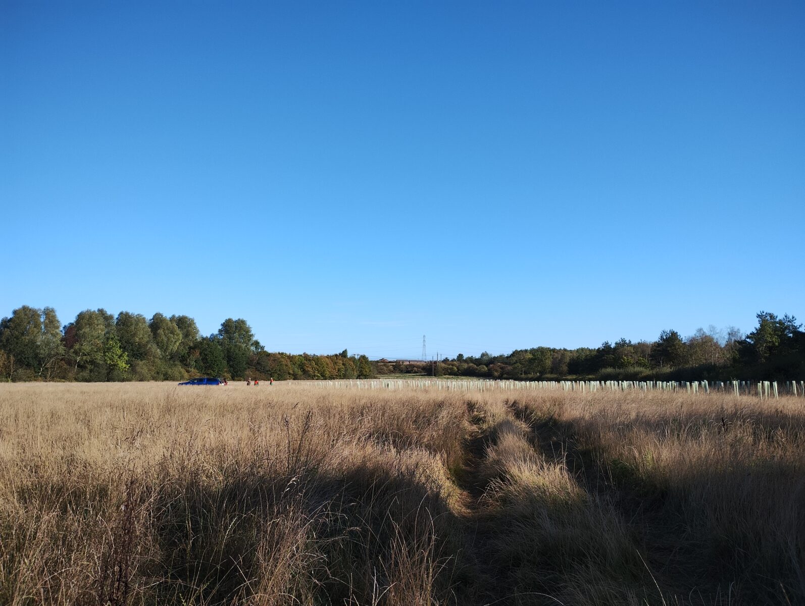 Volunteer maintenance day with Living Woods – North Tyneside
